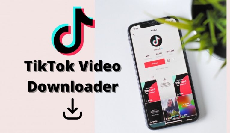 TikTok Video Downloader No Watermark Or Username